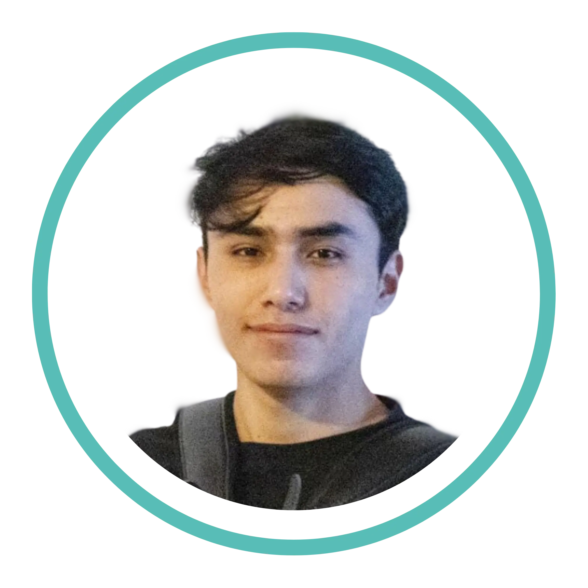 Proyectista de Instalaciones