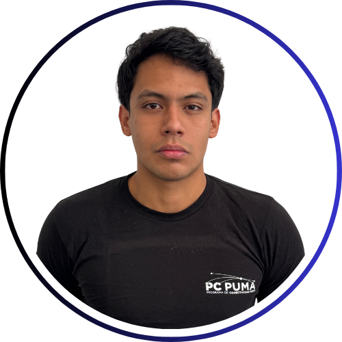 Líder de Proyecto