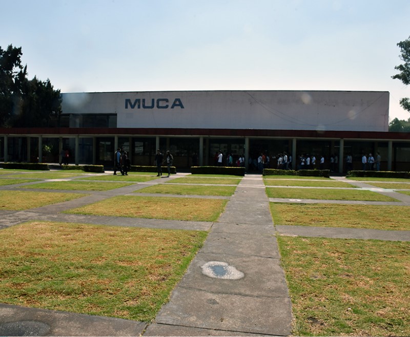 Muca